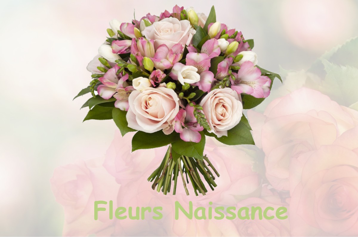 fleurs naissance SAINT-ALYRE-D-ARLANC